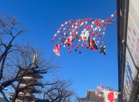 あけましておめでとうございます